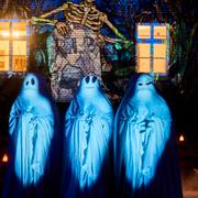 Halloweenpynt. Illustrationsbild.