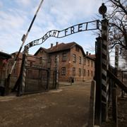 Auschwitz-Birkenau.