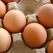 Bruna ägg i kartong. 