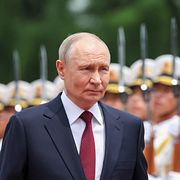 Vladimir Putin. 20 maj.