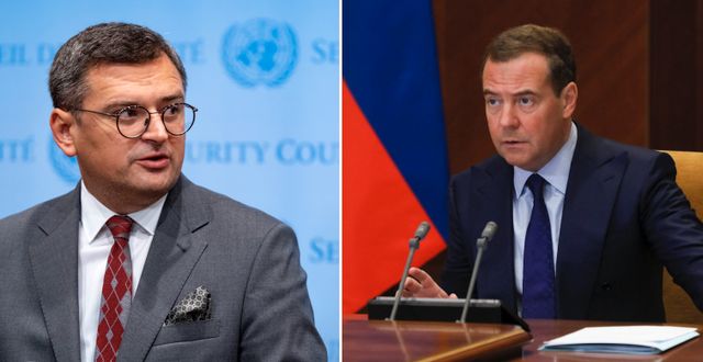 Dmytro Kuleba och Dmitrij Medvedev. TT