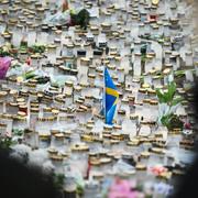 Blomsterhavet växer på minnesplatsen utanför Risbergska skolan i Örebro.