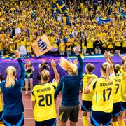 Svenska landslaget firar tillsammans med supportrarna efter segern mot Tyskland. 