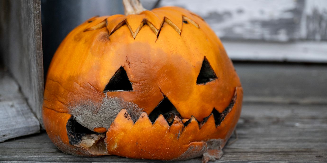 En rutten halloweenpumpa.