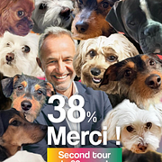 Emmanuel Grégoire och Rachida Dati har gosat med hundar under valrörelsen.