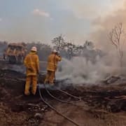 Arkivbild från bränderna i Queensland 2023. 