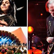 Pj Harvey (2011) och Neil Young (2008) på Roskilde.