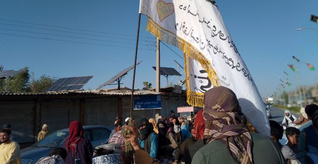 Talibanernas flagga i staden Farah 10 augusti. Mohammad Asif Khan / TT NYHETSBYRÅN