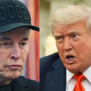 Elon Musk och Donald Trump.