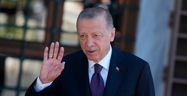 Recep Tayyip Erdogan. Khalil Hamra / AP