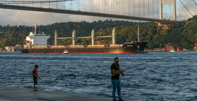 Ett fraktfartyg passerar Bosporen efter att ha lagt ut från Ukraina. Emrah Gurel / AP