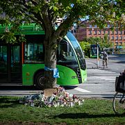 Blommor och ljus på minnesplatsen för den 15-åriga flicka som dog när hon blev påkörd av en bil på ett övergångsställe i korsningen i Malmö.