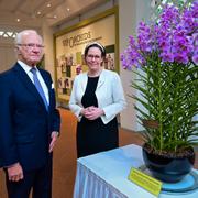 Kung Carl Gustaf deltog vid en namngivningsceremoni i Botaniska trädgården i Singapore där en orkidé döptes till King Carl XVI Gustaf of Sweden.