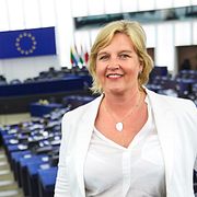 Karin Karlsbro i Europaparlamentet.