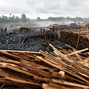Skogsavverkning på Madagaskar.
