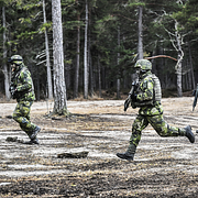 Militärövning i skogen. 