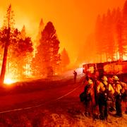 Brandmän vid en skogsbrand i Kalifornien. 