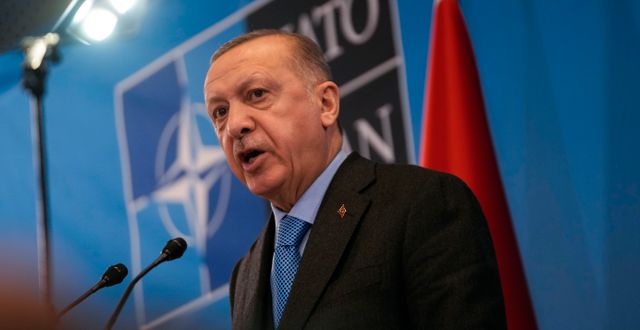 Erdogan/Arkivbild Markus Schreiber / AP