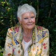 Judi Dench/Gråjako.