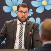 Jimmie Åkesson/Arkivbild