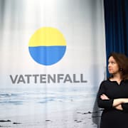 Anna Borg, vd Vattenfall.