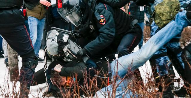 En demonstrant i Moskva brottas ner. Alexander Zemlianichenko / TT NYHETSBYRÅN