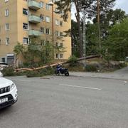 Bild från Årsta.