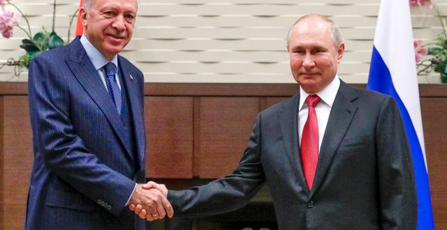 Turkiets president Recep Tayyip Erdogan och Rysslands president Vladimir Putin. Vladimir Smirnov / TT NYHETSBYRÅN