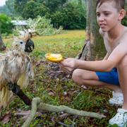 Jaxon Andrews 11, matar en fågel efter att cyklonen dragit fram. Nu inleds det stora arbetet med att städa upp efter ovädret.