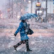 Snöfall i Malmö den 12 januari. Arkivbild.