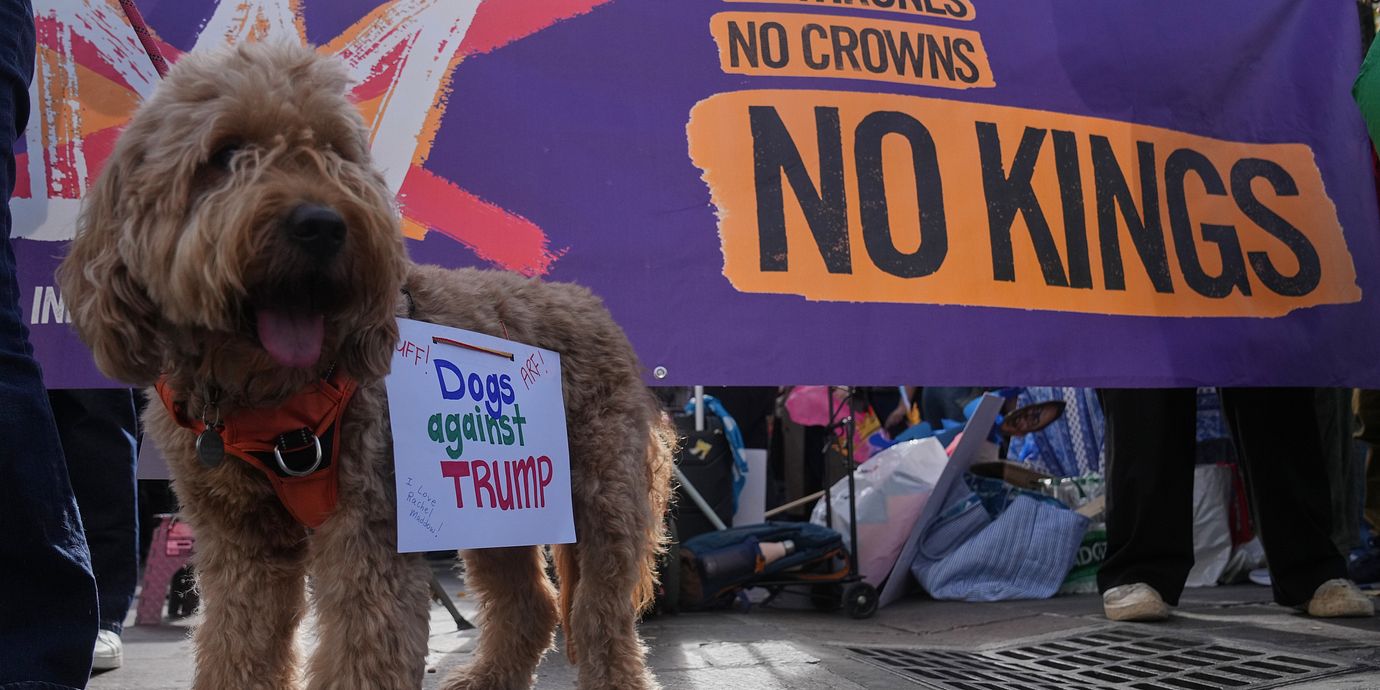 En hund med texten ”hundar mot Trump” under en protest mot presidenten i USA förra året.