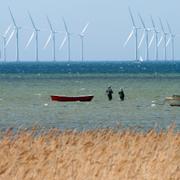 Vindkraftverk Lillgrund söder om Öresundsbron. Arkivbild. 