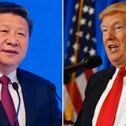 Xi Jinping/Donald Trump