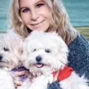 Barbra Streisand tillsammans med hundarna Miss Scarlett, Miss Violet och Miss Fanny.