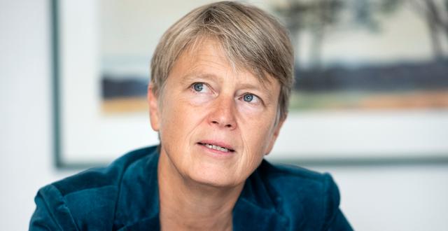  Medlingsinstitutets generaldirektör Irene Wennemo.  Pontus Lundahl/TT / TT NYHETSBYRÅN