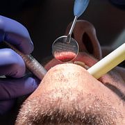 Ingen har fått klartecken under årets fyra första månader.