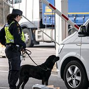 Illustrationsbild, tullen i Sverige i Trelleborgs hamn.