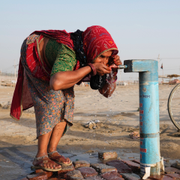 Bilder från Prayagraj i Indien. 