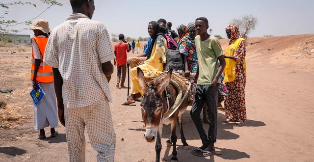 Flyktingar på gränsen mellan Sudan och Sydsudan. Sam Mednick / AP