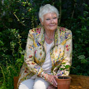 Judi Dench.