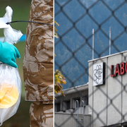 Arkivbilder. Spiez-laboratoriet, t h.