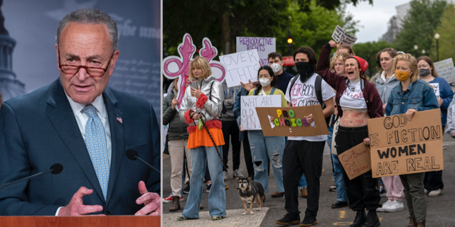Chuck Schumer. Jacquelyn Martin / AP, Gemunu Amarasinghe / AP