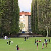 Tallriken i Malmö 2015. 