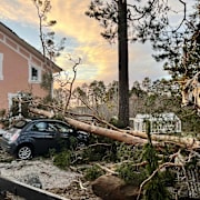 Nedfallna träd över efter stormen Johannes  28 decemer. 
