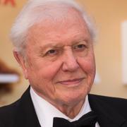 Sir David Attenborough vid 94 års ålder. Arkivbild. 