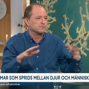 Björn Olsen i TV4 i morse.