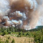 Rökmoln syns i British Colombia, Kanada, efter skogsbränderna. 