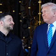 Volodymyr Zelenskyj och Donald Trump.