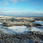 Skogsegendom i Skatträsk, Arvidsjaur, som ingår i försäljningen.