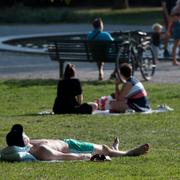 Soldyrkare i Tessinparken i Stockholm. 